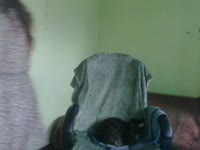 Hey!My body is  like a VIOLIN,dangerous curves and a complicated mind!Are you ready to know me?I AM!